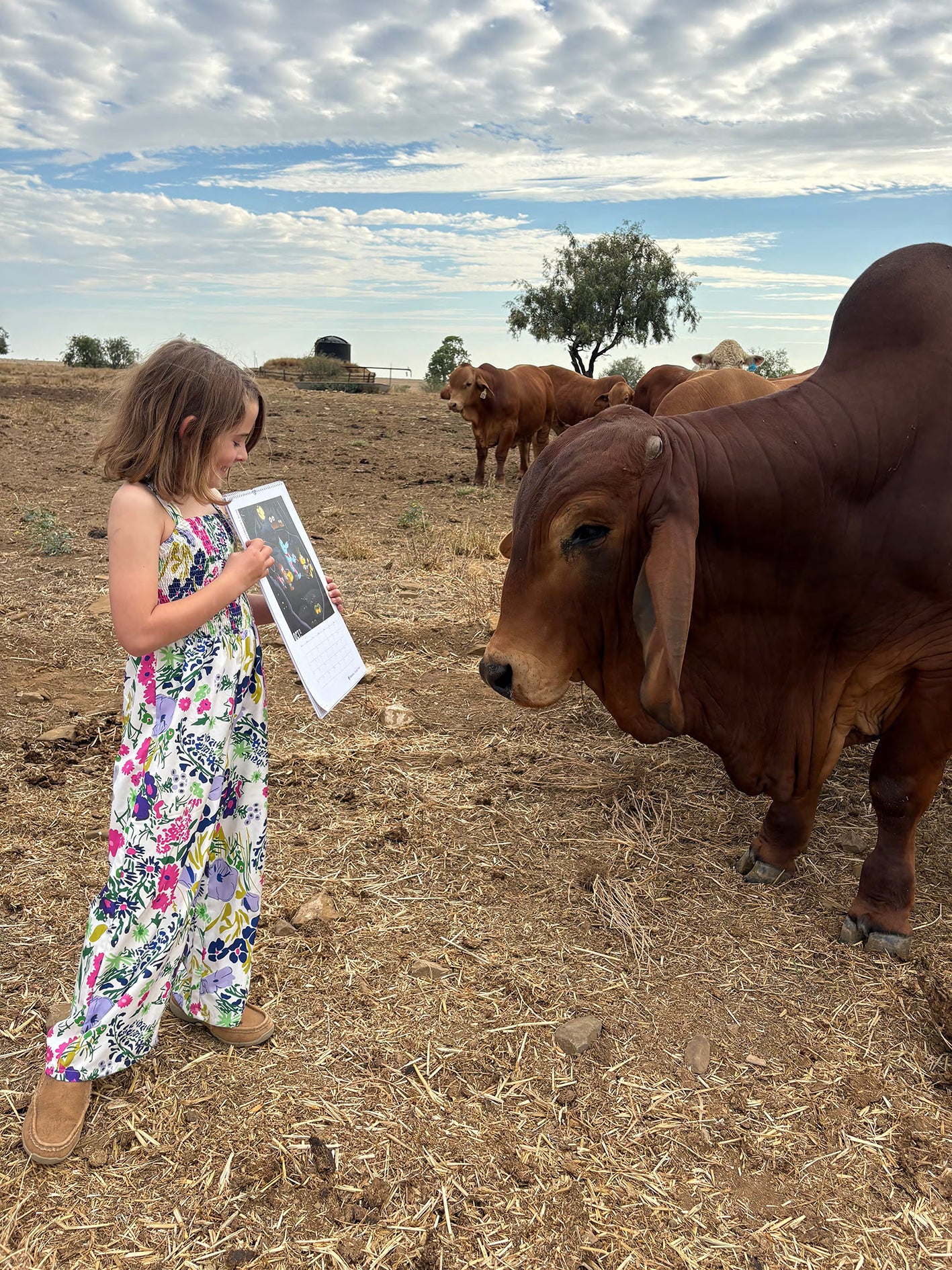 2026 SQUIGL Club Art Calendar (limited)